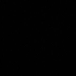 Meet your Posher, Cam